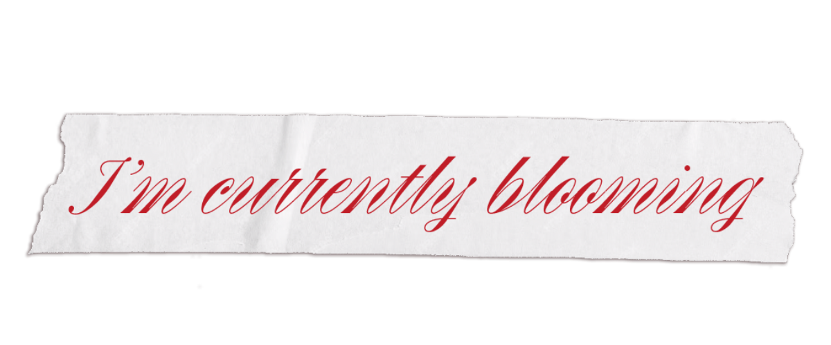 Imcurrentlyblooming's shop